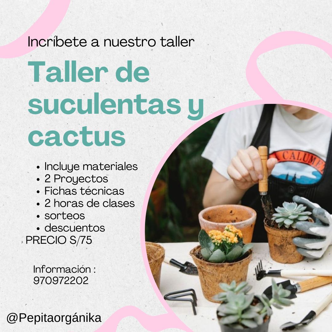 Taller de cactus y suculentas