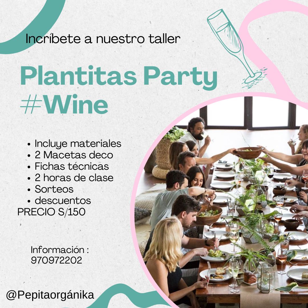 Plantitas party