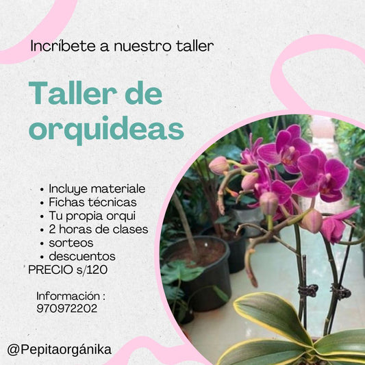 Taller de orquídeas