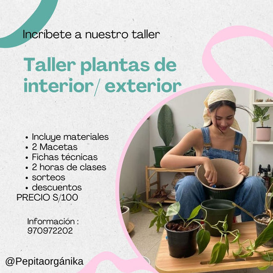 Taller plantas interior / exterior